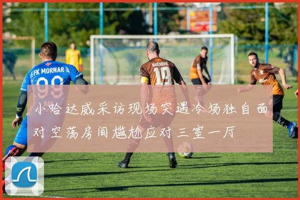 小哈达威采访现场突遇冷场独自面对空荡房间尴尬应对三室一厅