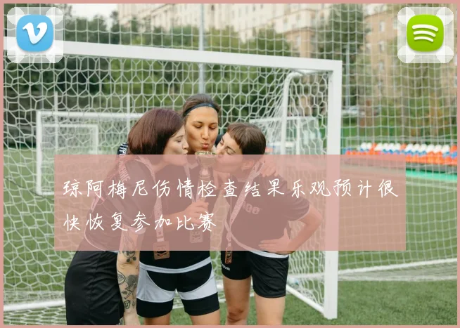 琼阿梅尼伤情检查结果乐观预计很快恢复参加比赛